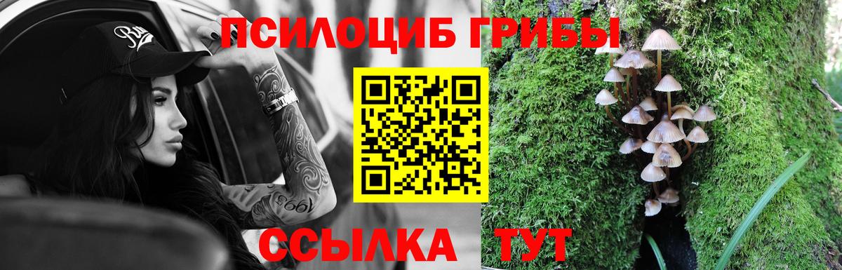 Галлюциногенные грибы прущие грибы  Вход с VPN  Галлюциногенные грибы Magic Shrooms  Кохма 