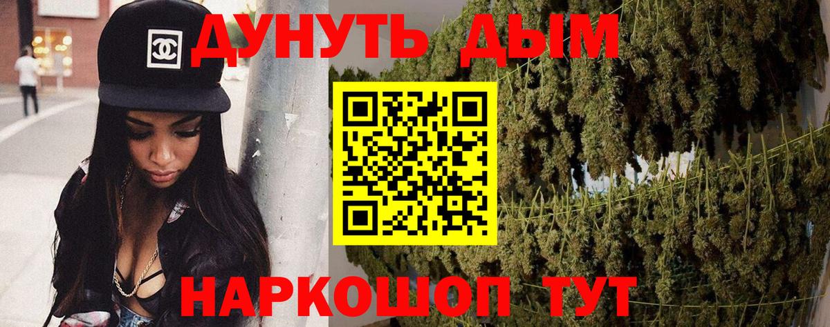МАРИХУАНА SATIVA & INDICA  Бошки марихуана планчик  Вход с VPN  Кохма  Шишки марихуана SATIVA & INDICA 